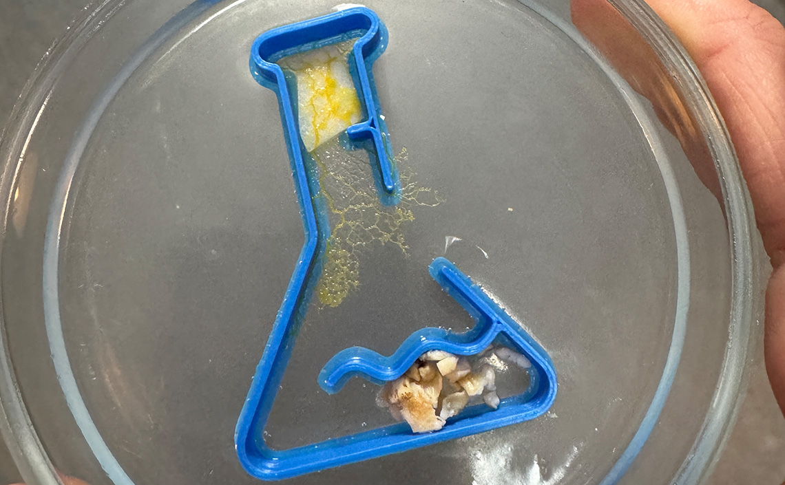 Veranstaltungs-Symbolbild