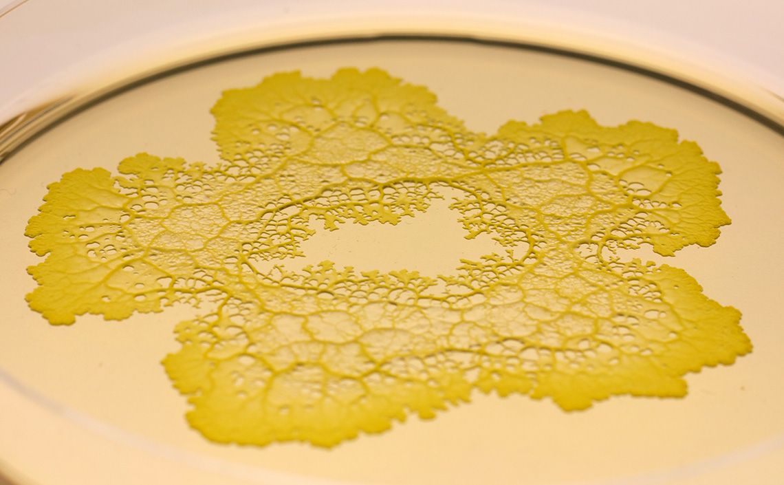 Veranstaltungs-Symbolbild