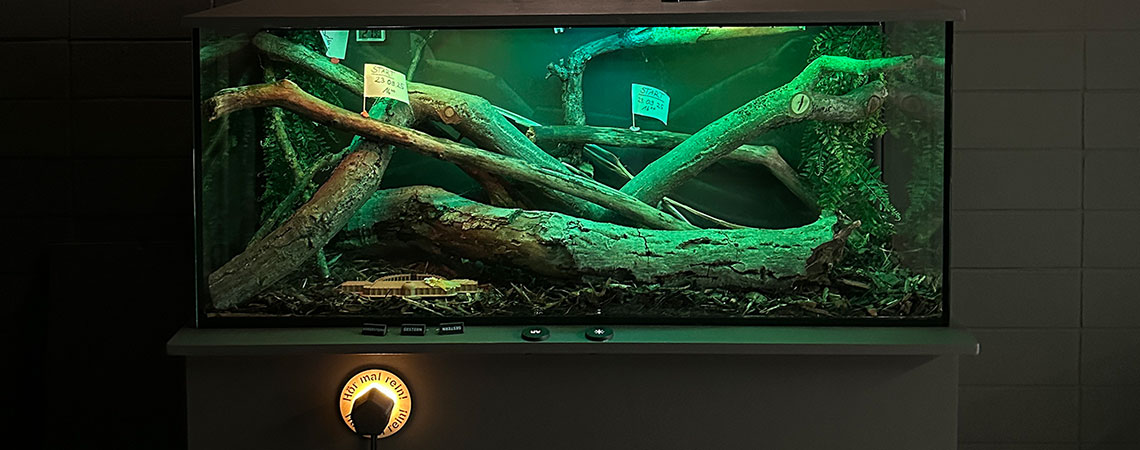 Der Blob im Potsdamer Habitat