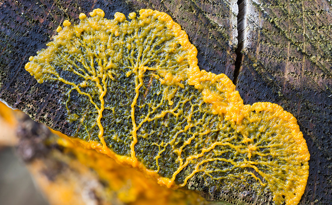 Veranstaltungs-Symbolbild